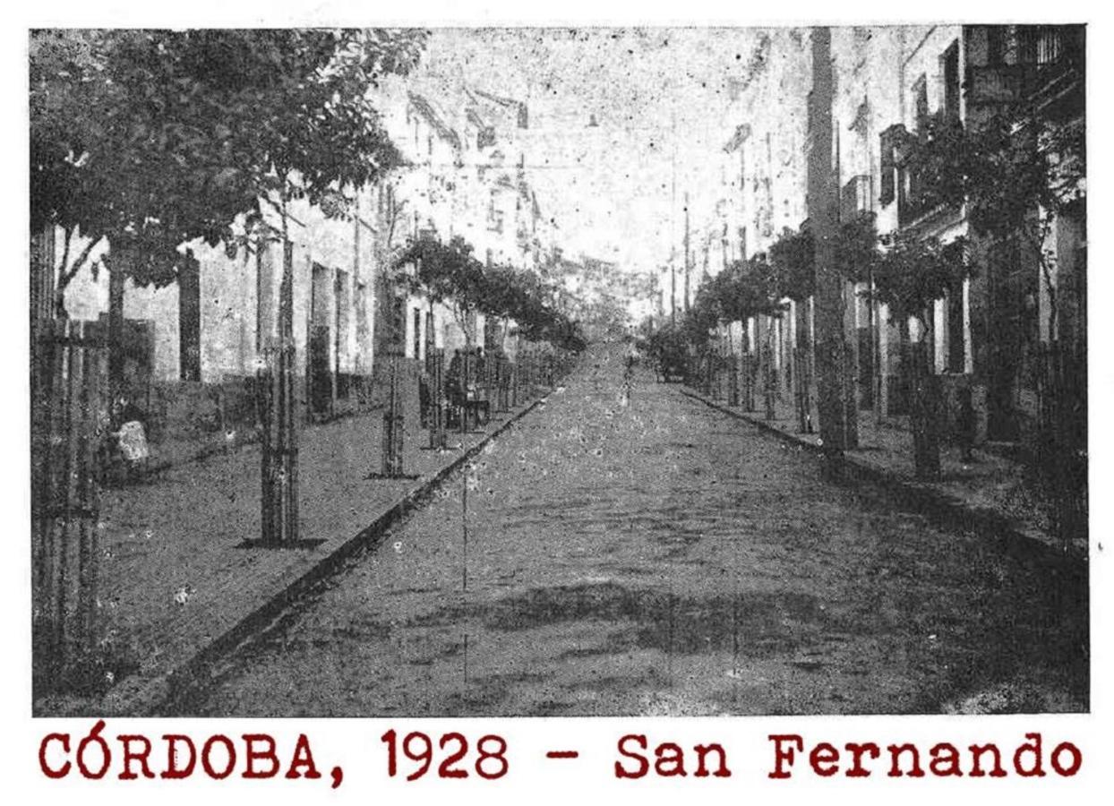 Ferienwohnung El Capricho De San Fernando, Consigna Gratis Y Parking A 200Mts Córdoba Exterior foto