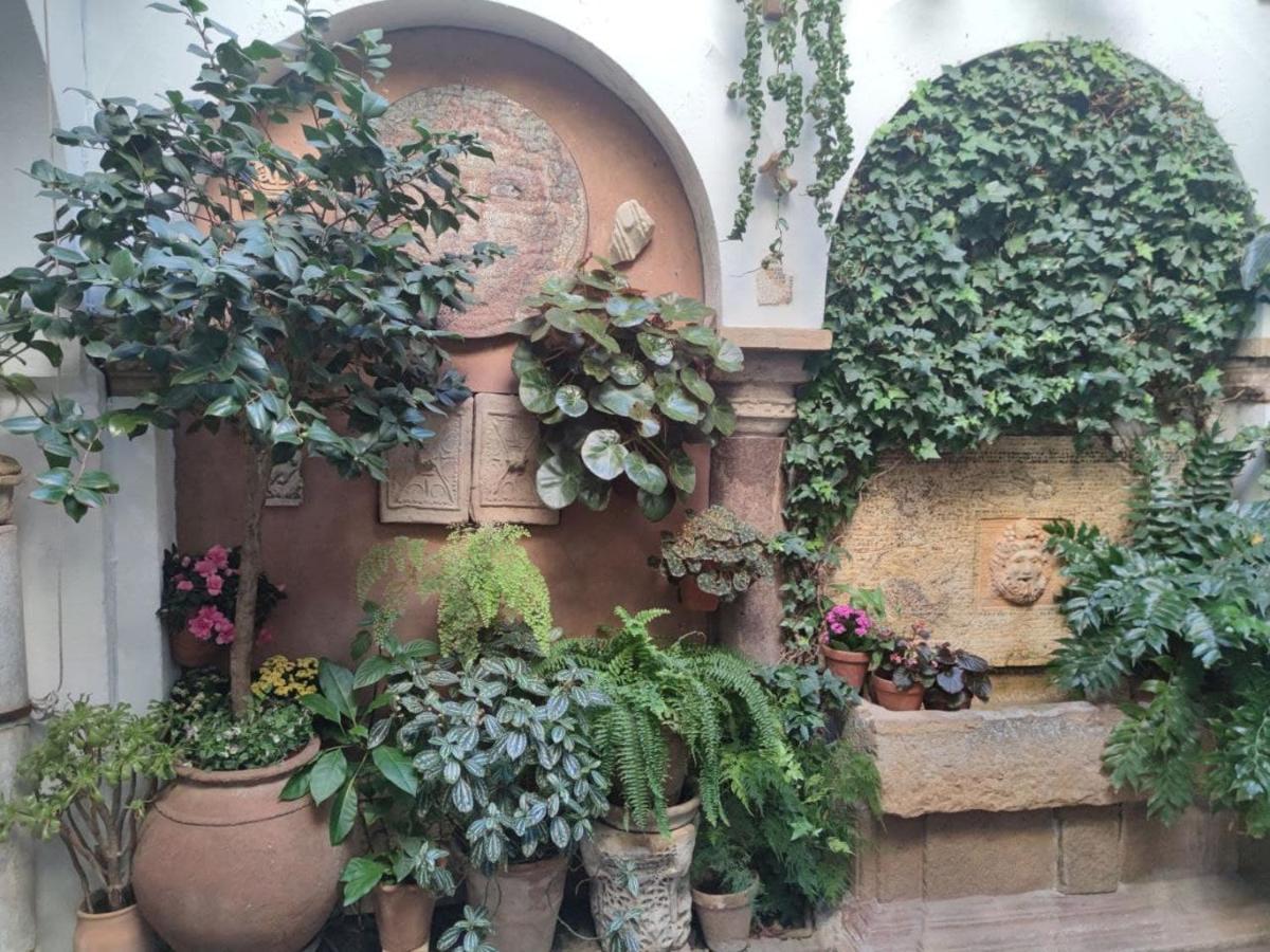 Ferienwohnung El Capricho De San Fernando, Consigna Gratis Y Parking A 200Mts Córdoba Exterior foto