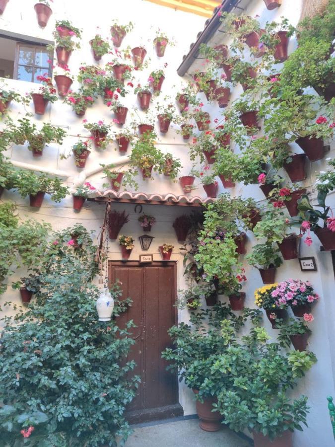 Ferienwohnung El Capricho De San Fernando, Consigna Gratis Y Parking A 200Mts Córdoba Exterior foto