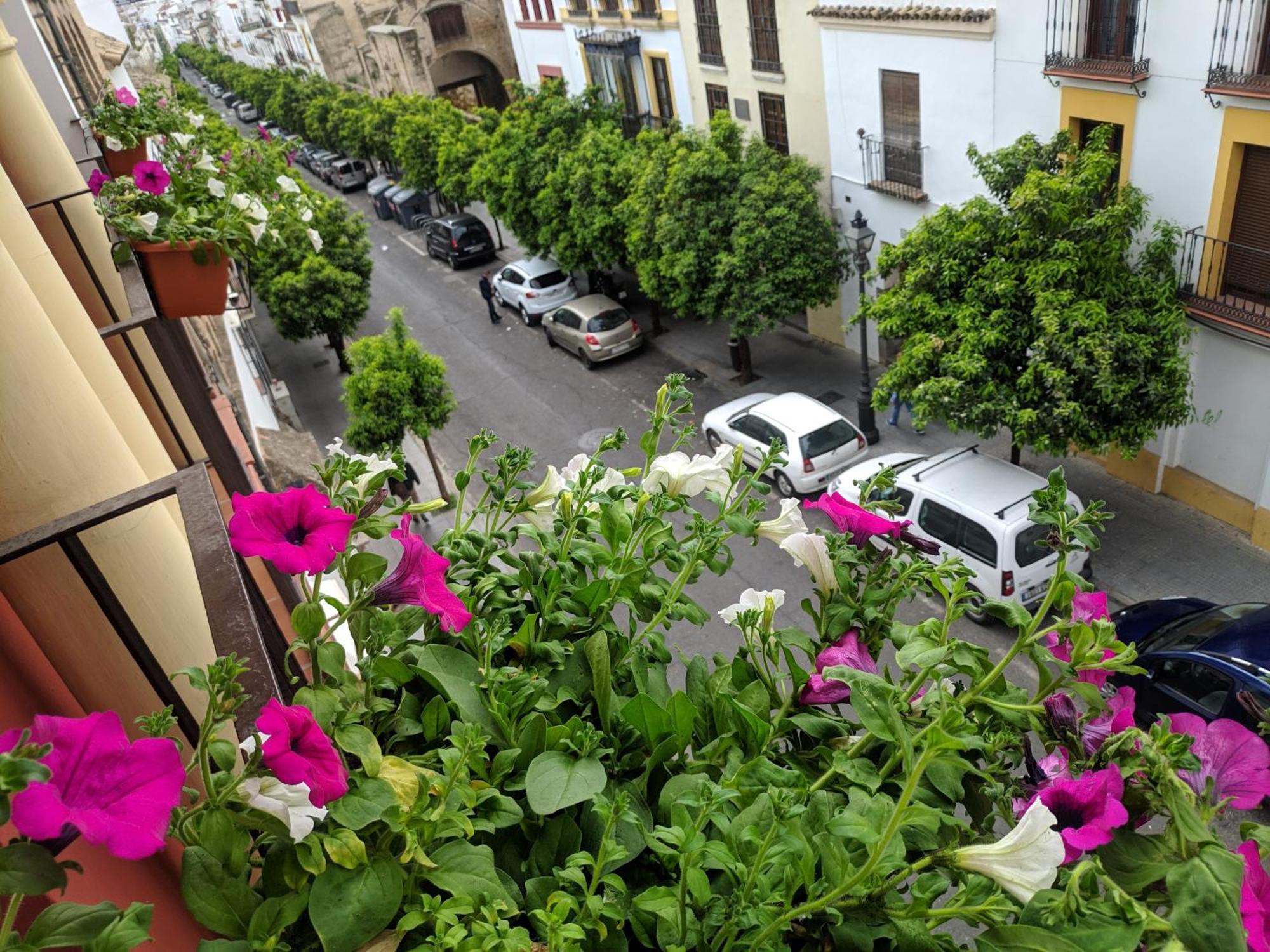 Ferienwohnung El Capricho De San Fernando, Consigna Gratis Y Parking A 200Mts Córdoba Exterior foto