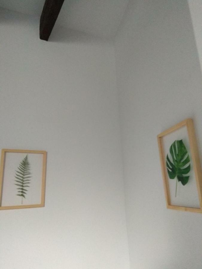 Ferienwohnung El Capricho De San Fernando, Consigna Gratis Y Parking A 200Mts Córdoba Exterior foto